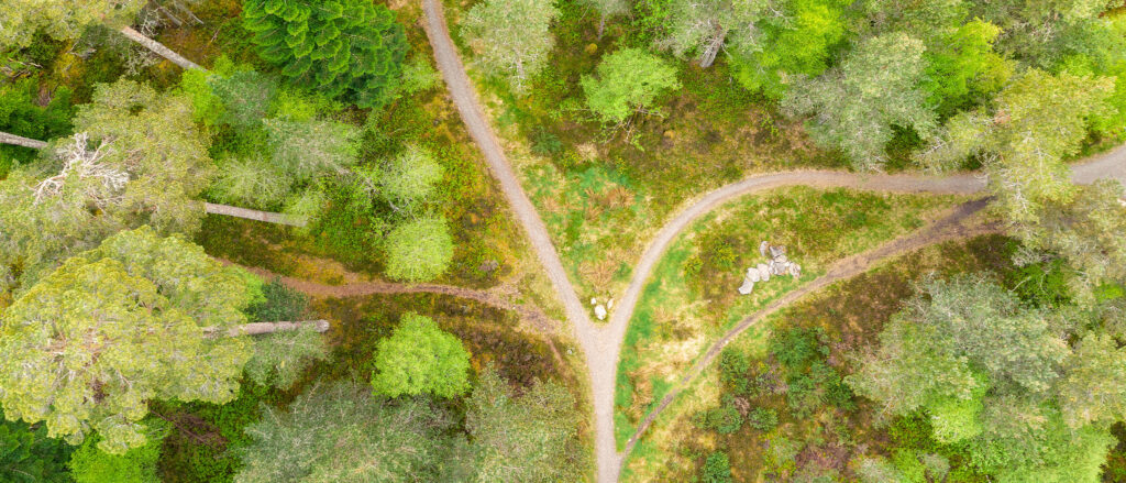 Overhead view of a pathway surrounded by trees